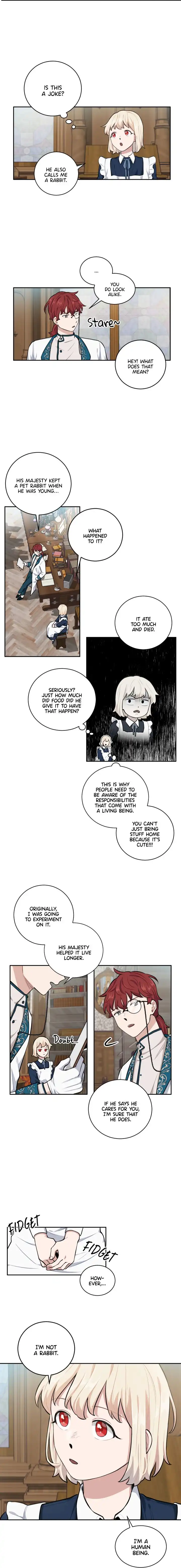 I Became a Maid in a TL Novel Chapter 16 10